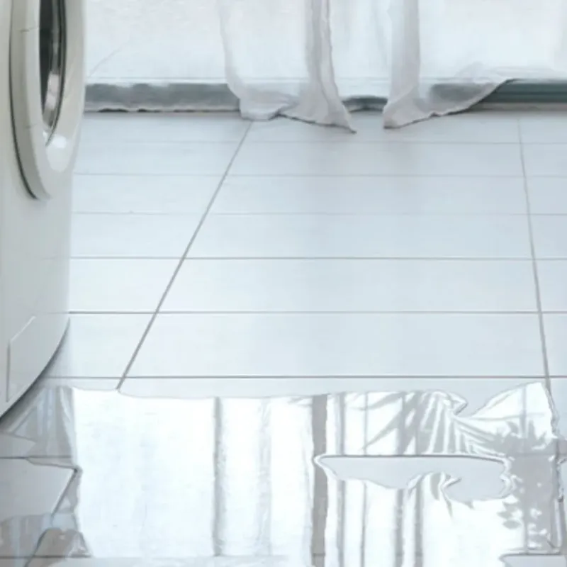 Appliance Leak Cleanup in Sioux County, NE