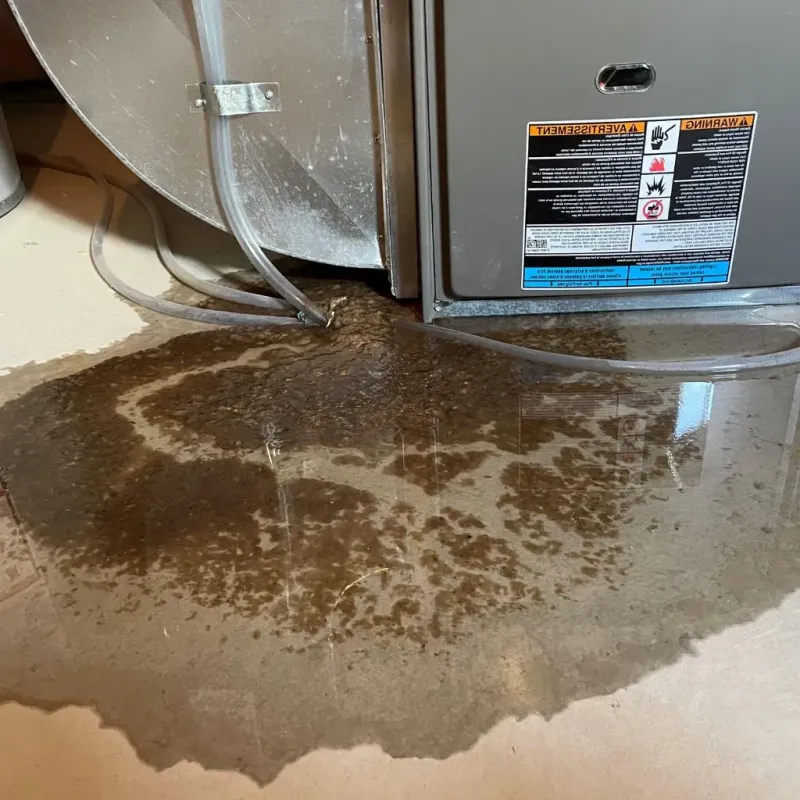 Pipe Burst and Leak Restoration in Sioux County, NE