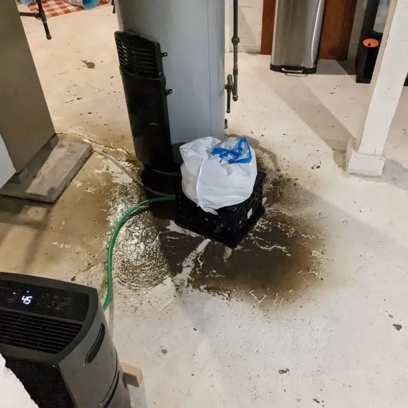 Sewage Backup Cleanup Service in Sioux County, NE